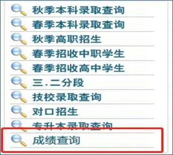天津中德应用技术大学2022年专升本专业课考试成绩查询