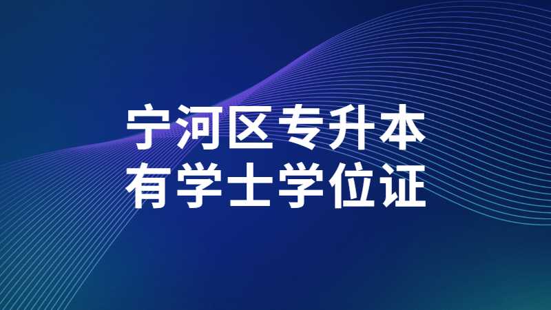 2023年宁河区专升本有学士学位证吗？