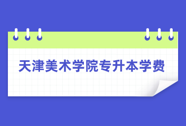 天津美术学院专升本学费