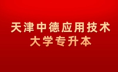 天津中德应用技术大学专升本