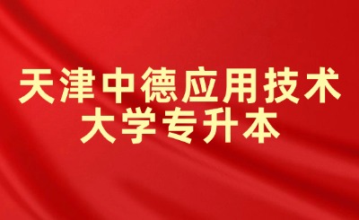 天津中德应用技术大学专升本